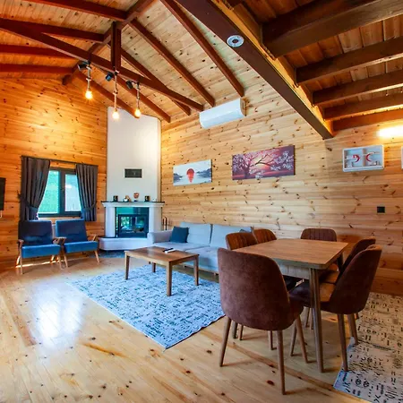 Villa Rubin *